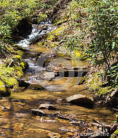 Mountain Trout Stream â€“ Blue Ridge Parkway, North Carolina, USA Stock Photo